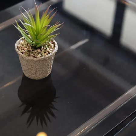 Modern 1br Spacious With Terrace - Close To St Thomas Bay *