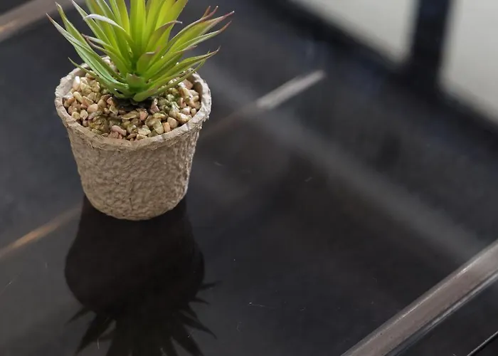 Modern 1br Spacious With Terrace - Close To St Thomas Bay *